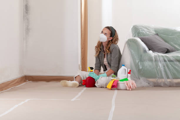 Reliable Mold Remediation contractor in Jericho, NY by WQB Mold Removal